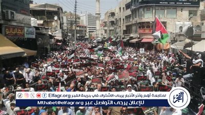 نهى بكر: مصر تقدم الحلول لدعم القضية الفلسطينية (فيديو)