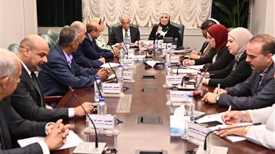 وزيرة التضامن تستقبل محافظ سيناء ويستعرضان الموقف التنفيذي للقرية التراثية