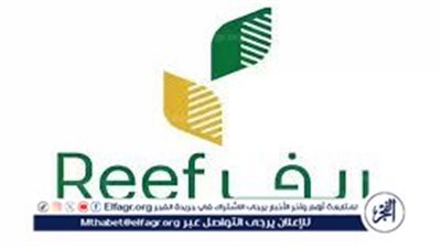 دعم ريف..لماذا يتم رفض الطلب في ريف وأسباب توقف الصرف؟