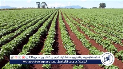 الدكتور نعيم مصيلحي يكشف مساحات مشروعات الزراعة الجديدة في مصر (فيديو)