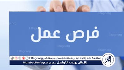نشاط وزارة العمل خلال الأسبوع الماضي: مناقشات قانونية وفرص عمل دولية