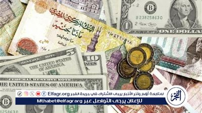 استقرار أسعار العملات الاجنبية والعربية اليوم الأحد.. الريال واليوان بكام النهاردة