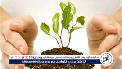 7 اختصاصات لمجلس إدارة صندوق الوقف الخيري.. تعرف عليها