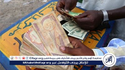  أسعار العملات العربية والأجنبية في مصر اليوم الأحد 19-5-2024