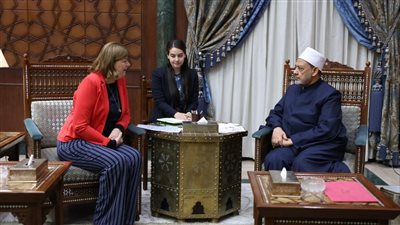 شيخ الأزهر: المجتمع الدولي أصابه الانفصام يمد يده بالمساعدات الإنسانية لغزة واليد الأخرى ممدودة بالسلاح للكيان الصهيوني
