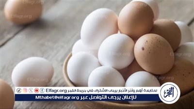 انخفاض أسعار البيض والدواجن في الأسواق: تفاصيل وتوقعات