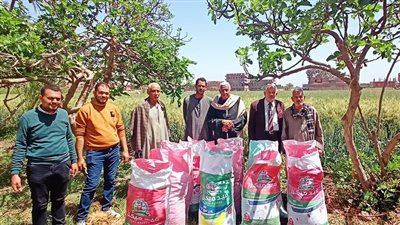 مواجهة التغير المناخي والاكتفاء الذاتي من القمح.. تقنيات فنية زراعية تشاطر أحلام المزارعين