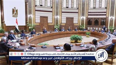 عاجل| السيسي يستقبل مجلس أمناء مكتبة الإسكندرية