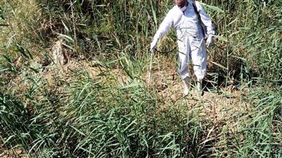 محافظ أسوان: رفع درجة الاستعداد بالمستشفيات والوحدات الصحية لمواجهة أمراض الصيف 