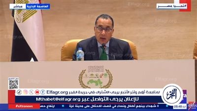 رئيس الوزراء يُشيد بدعم الهيئات المالية العربية لمصر (فيديو)