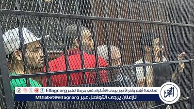 المحكمة تستمع لشهادة الطبيب الشرعي في محاكمة دكتور الاجهاض بالجيزة و3 آخرين