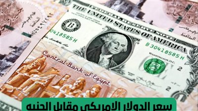 استقرار سعر الدولار الأمريكي في منتصف تعاملات اليوم الأربعاء 22 مايو 2024