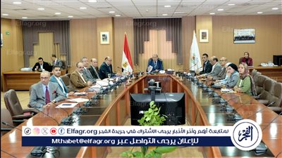 رئيس جامعة المنصورة يناقش خطة إدارة الوافدين اعرف التفاصيل 