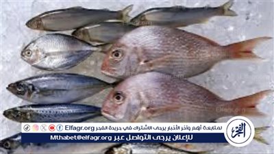 أسعار الأسماك اليوم الاثنين 27-5-2024 في الدقهلية