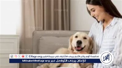 روشتة التغذية السليمة للقطط والكلاب: نصائح هامة من الدكتورة مروة رباح