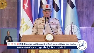 الهيئة الهندسية تكشف الجهود المبذولة لتنفيذ مشروع توشكى