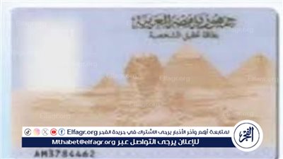 تجديد بطاقة الرقم القومي في مصر عبر التطبيق الإلكتروني: الشروط والإجراءات الضرورية