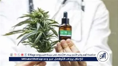 المغرب يستعد لتوزيع منتجات القنب الهندي 