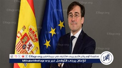 وزير الخارجية الإسباني: الاعتراف بالدولة الفلسطينية يحقق السلام في المنطقة (فيديو)