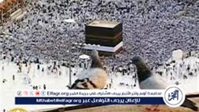 رئاسة الشؤون الدينية تفعل المسارات الإثرائية لبرنامح التطويف المركزي في موسم الحج