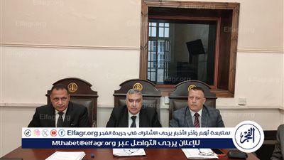 إحالة أوراق متهم للمفتي قتل والدته والقاء جثمانه داخل بئر في الإسكندرية