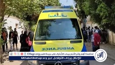 تأجيل محاكمة المتهمين بالتعدي علي سائق تاكسي ودهس عامل دليفري بالإسكندرية