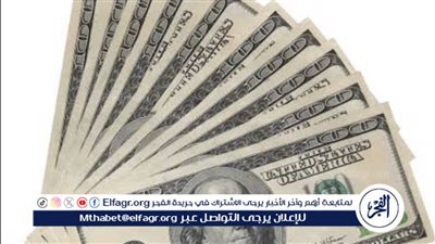 استقرار سعر الدولار مقابل الجنيه المصري اليوم