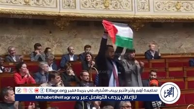 برلماني فرنسي: الاعتراف بدولة فلسطين نصر معنوي جاء متأخرا (فيديو)
