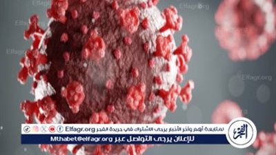 نفس الفيروس.. استشاري جهاز هضمي يقدم نصائح للوقاية من كورونا (فيديو)