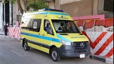 تفاصيل إصابة 3 أشخاص في انقلاب تروسيكل أسفل كوبري سندوب بالدقهلية 