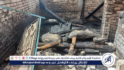 دينامو يتسبب في حريق بحظيرة ماشية بالفيوم ونفوق 40 رأس ماشية
