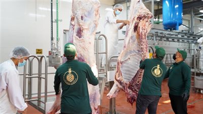 ذبح 1000 عجل بلدي في إطار مبادرة «فطارك معانا.. يوم عرفة» لبيت الزكاة والصدقات