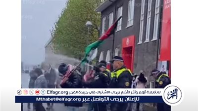 شاهد| الشرطة في أيسلندا ترش رذاذ الفلفل الحارق بوجه داعمي غزة 