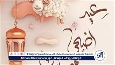 ما حكم ذبح الأضاحي في الشوارع وترك مخلفاتها في الطرقات؟ الإفتاء تجيب 