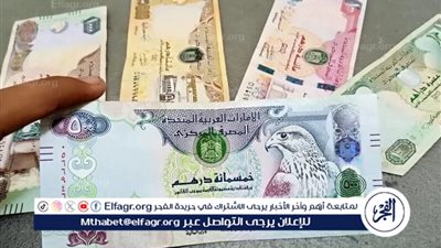 سعر الدرهم الإماراتي مقابل الجنيه اليوم الثلاثاء 10/6/2025 في البنوك المصرية
