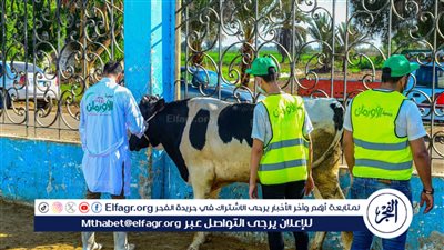 تحديد 50 قرية بالفيوم لتوزيع لحوم الأضاحي 