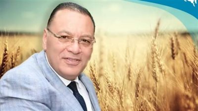 محافظ الشرقية: انتظام سير العمل بمنظومة توريد القمح لشون وصوامع المحافظة