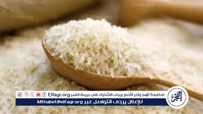 أسعار الأرز في الأسواق المصرية اليوم الاثنين 10 يونيو 2024