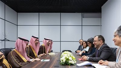 وزير الخارجية ونظيره الفنزويلي يبحثان أوجه التعاون بين البلدين