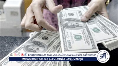 استقرار سعر الدولار مقابل الجنيه المصري