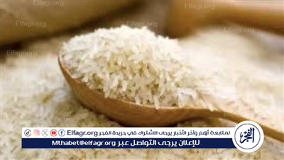 سعر الأرز الشعير اليوم الثلاثاء 11 يونيو 2024: التراجعات والأسعار الجديدة