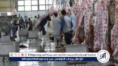 استعدادات محافظة الجيزة لاستقبال عيد الأضحى المبارك: تأمين المجازر والحفاظ على النظافة