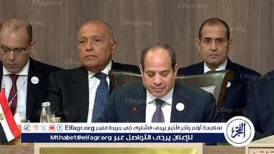 القومي لحقوق الإنسان: كلمة السيسي بالأردن وضعت أجندة لعملية الإغاثة ‏الإنسانية بغزة ‏