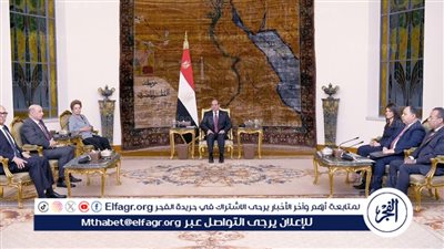 عاجل| السيسي يستقبل رئيسة بنك التنمية الجديد