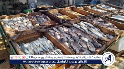 أسعار الأسماك اليوم الجمعة 14-6-2024 في الدقهلية