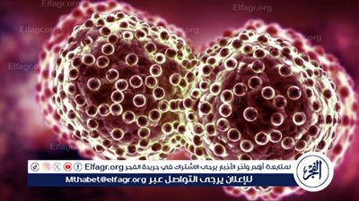 أخصائية تغذية تحذر من منتجات غذائية شائعة تزيد من خطر الإصابة بالسرطان