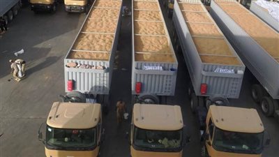 محافظ أسوان: تخطي المستهدف في توريد كميات القمح داخل وخارج المحافظة بنسبة 105.8%