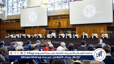 أستاذ قانون: مرافعة مصر أمام 