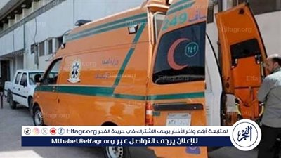 مصرع رجل بالمنوفية طعنا بالسكين على يد زوج نجلته