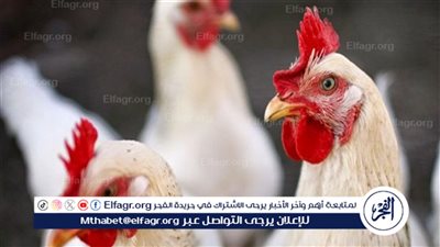 رئيس الرابطة الطبية الأوروبية: إنفلونزا الطيور مرشحة لتكون وباء جديد لهذه الأسباب (فيديو)